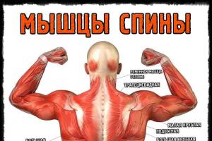 Cvičenie na chrbát v telocvični