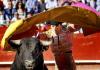 Spanish bullfighting and bullfighting shows in other countries