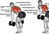 Bent-over dumbbell rows: one and two hands