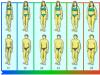 Индекс массы тела и его расчет Значение вашего индекса массы тела 